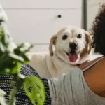 Tierische Hautschuppen und -partikel