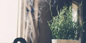 VOC: Was sie sind & Exposition senken